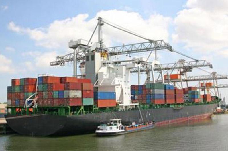 Container type Shipping agent LCL skills